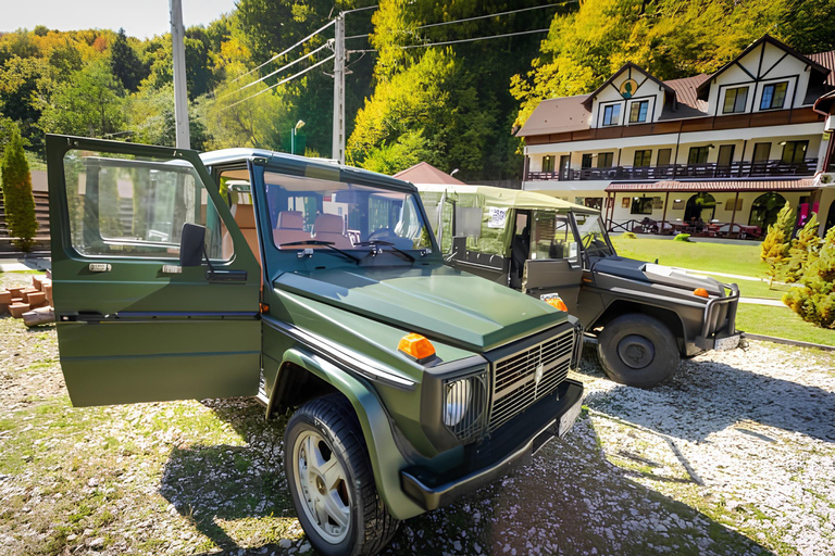 FÉRIAS TRANQUILAS NA VALEA VÂLSANULUI-BRĂDET