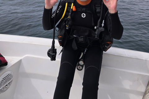 Excursions de plongée avec masque et tuba dans les îles Daymaniyat