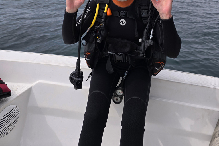 Excursions de plongée avec masque et tuba dans les îles Daymaniyat