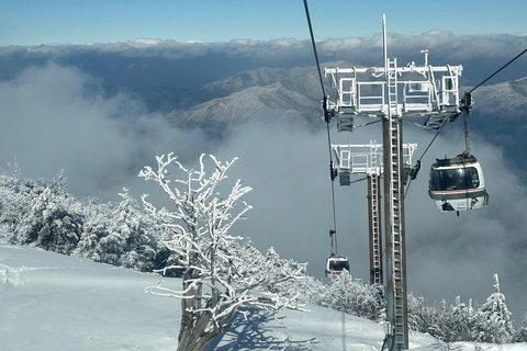 Von Seoul aus: Die schneebedeckte Schönheit des Deogyusan-Nationalparks