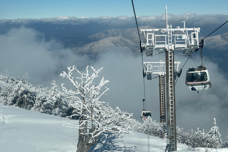 Från Seoul: Snötäckt skönhet i Deogyusan nationalpark