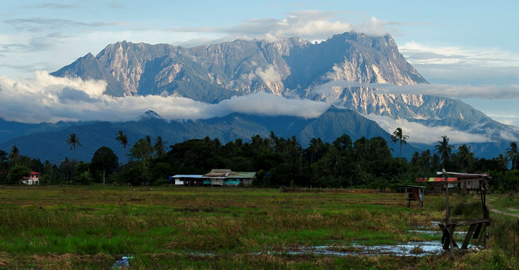 Da Kota Kinabalu, Kundasang Tour privato + Primavera calda - Hizvo