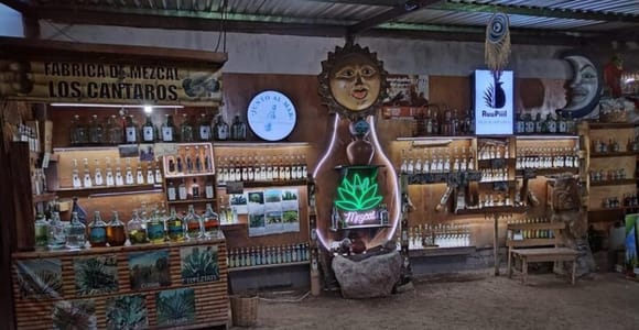 Puerto Escondido: Mezcal, Coffee & Pedal Loom Factory Tour