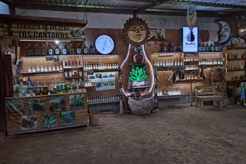 Puerto Escondido: mezcal, kawa i fabryka krosien pedałowych