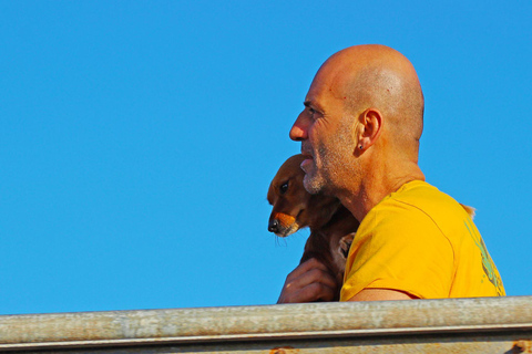 Larnaca: Zenobia Shipwreck Dive with Equipment