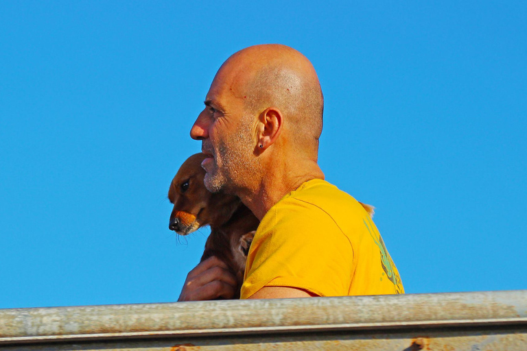Larnaca: Zenobia Shipwreck Dive with Equipment