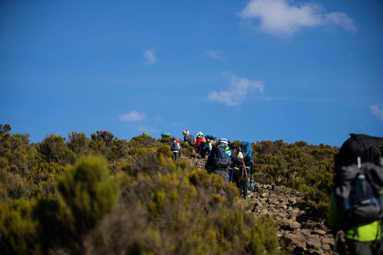 Mount Kenya: 4-Day Point Lenana Summit Adventure