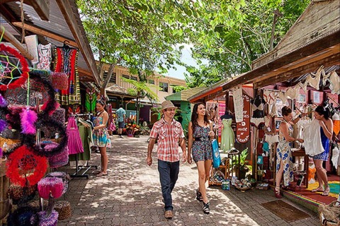 Vanuit Port Douglas: Hartley&#039;s Krokodillenpark, Skyrail &amp; Trein