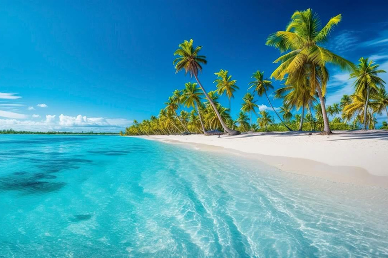 Ekskluzywna wycieczka na wyspę Catalina z transportem i obiadem w cenie