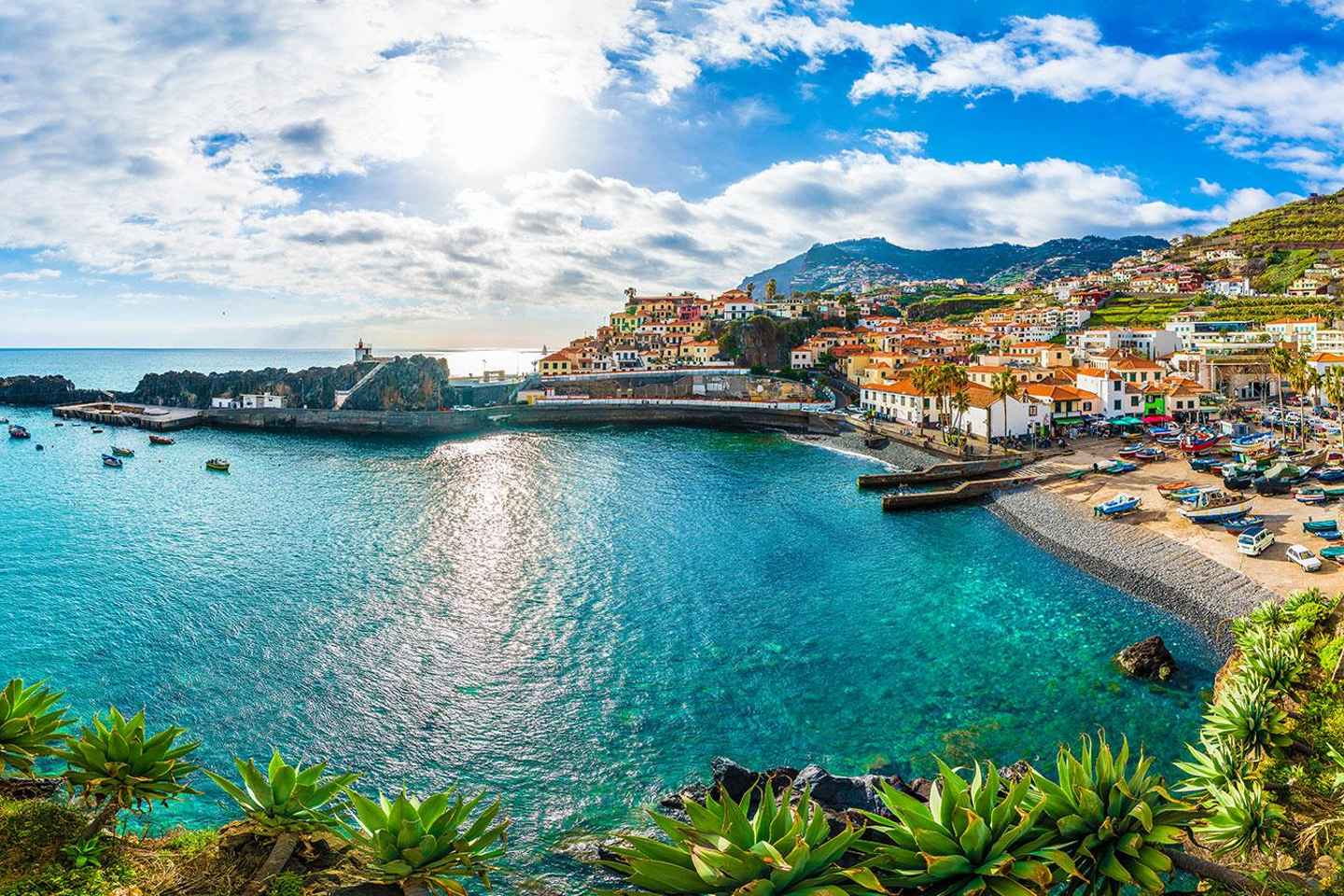 Madeira: Private Tour for Cruise Ship Passengers