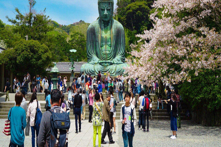 Tokyo: 2-Day Guided Tour with Kamakura & Hotel Pickup
