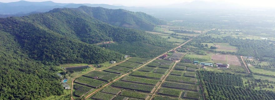 Depuis Phnom Penh : Excursion d'une journée à Kampot dans un endroit magnifique avec guide