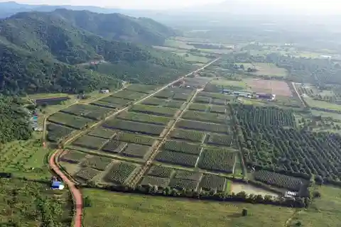 De Phnom Penh: Viagem de 1 dia a Kampot, um lugar lindo com guia