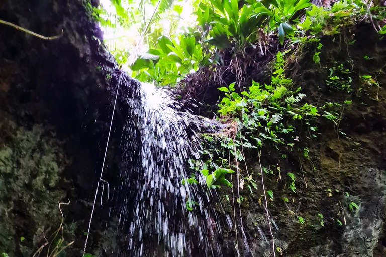 Basseterre Rainforest Hike Basseterre Rainforest Hike Private Tour