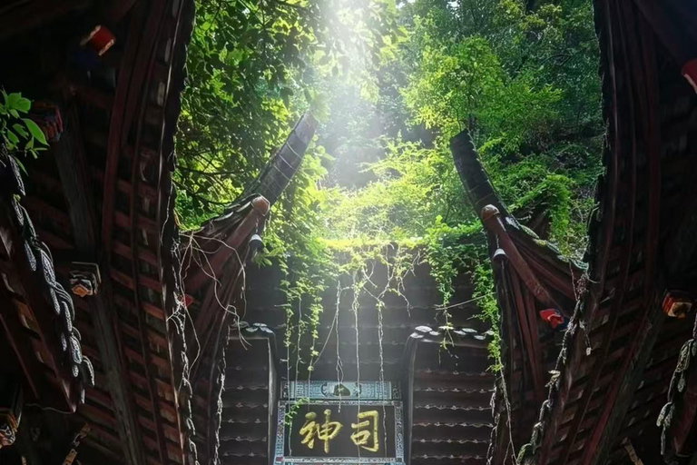 Chengdu: Dujiangyan Qingcheng Mountain Entry Tickets