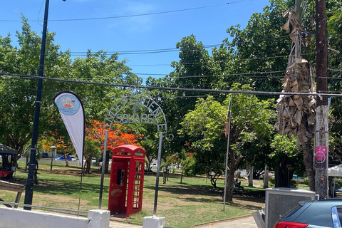 Basseterre: Guided Walking Tour with Optional Beach