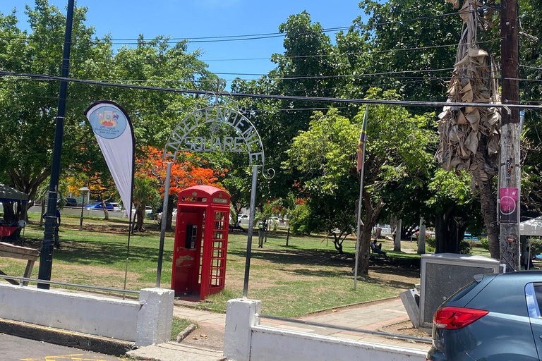 Basseterre: Guided Walking Tour with Optional Beach