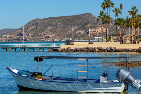 From La Paz: Espíritu Santo Island Tour all inclusive From La Paz: Espíritu Santo Island Tour