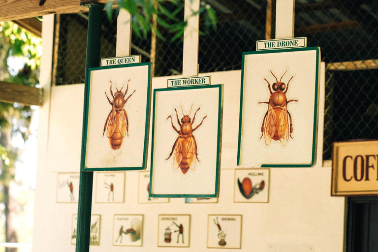 Croydon in the Mountains - Eco Farm Tour with Lunch