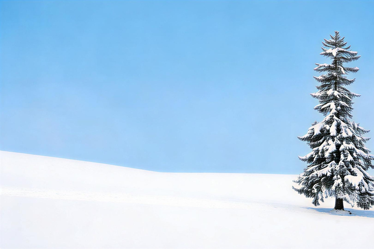 Hokkaido Winter Shikisai no Oka, Blue Pond (Dec.10 - Mar.10) 10:40 am meet at JR Sapporo Station North exit