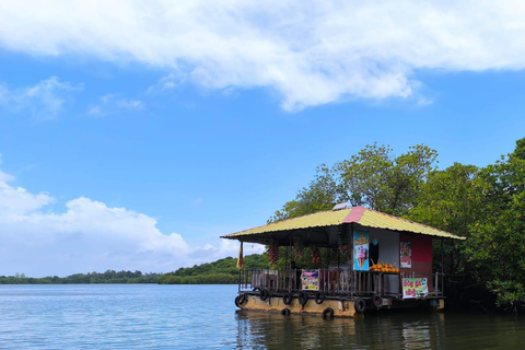 Desde Galle/Colombo:Safari por el río Madu y visita al criadero de tortugas