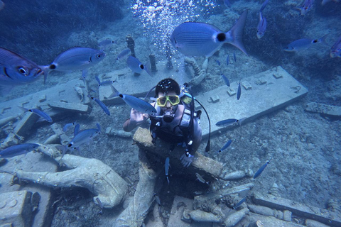 Côté : Plongée sous-marine et musée subaquatique avec transfert à l&#039;hôtel