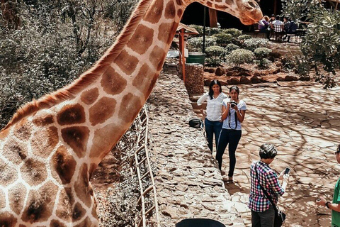 Nairobi: Private Tour to Giraffe Centre with Hotel Pickup
