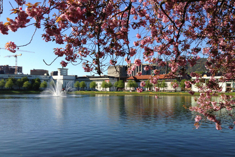 From City Lights to Fjord Sights - Citywalk and Oster Fjord