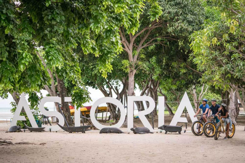 Puerto Princesa: Transferes de Van de/para Sabang com opçõesDay-time Airport to Sabang Transfers