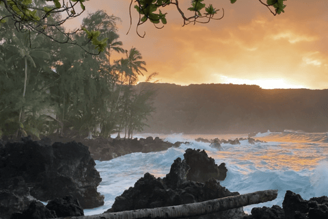 Maui: Open-Air Road to Hāna Jungle Adventure Tour Open-Air! Road to Hana Jungle Adventure Tour! (5.5 Hours)