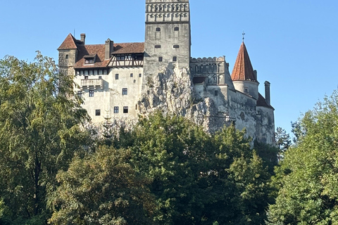 Brașov: Bran Castle, Bear Sanctuary, & Râșnov Citadel Tour