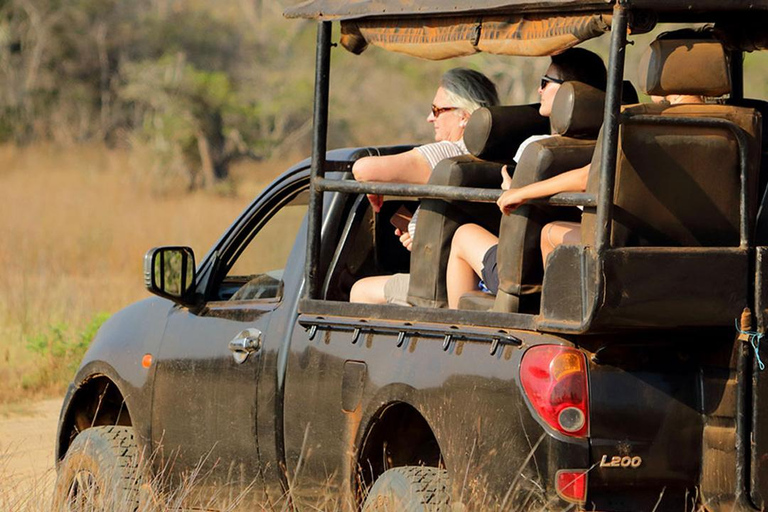From Colombo: Wilpattu Leopard Safari Private Tour Wilpattu Leopard Safari Private Day Tour