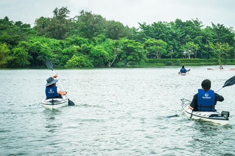 Colombo: Diyawanna Lake Kayaking Experience Single Kayak