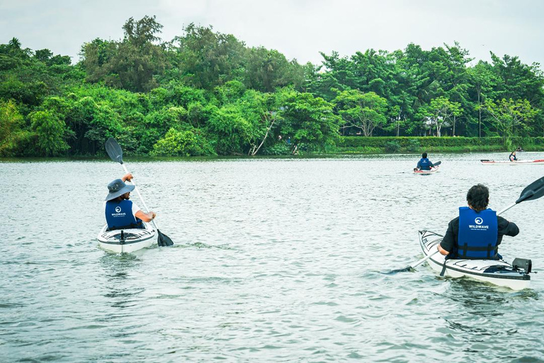 Colombo: Diyawanna Lake Kayaking Experience Single Kayak