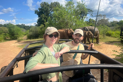 Polonnaruwa Ancient City & Minneriya Safari Full-Day Tour