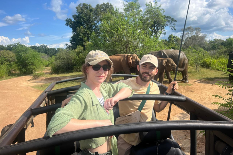 Polonnaruwa Ancient City & Minneriya Safari Full-Day Tour