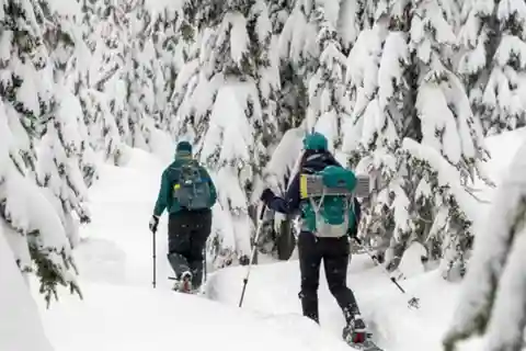 Rovaniemi: Passeio de expedição com raquetes de neve na natureza selvagem e churrasco