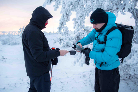 Levi: Aventura guiada com raquetes de neve