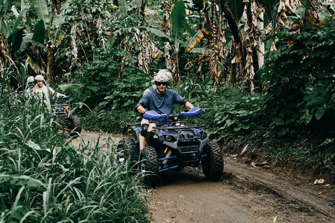 Bali: Dolphin Swimming Tour with ATV Quad Bike & Waterfall Dolphin, Waterfall, Tandem ATV Bike (Central & South Bali)