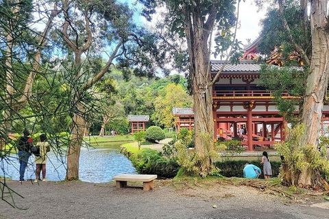 Hawaii : Tour panoramico e tour gastronomico dell&#039;isola di Oahu