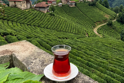 From Trabzon: Ayder Plateau Day Trip with Tea Factory