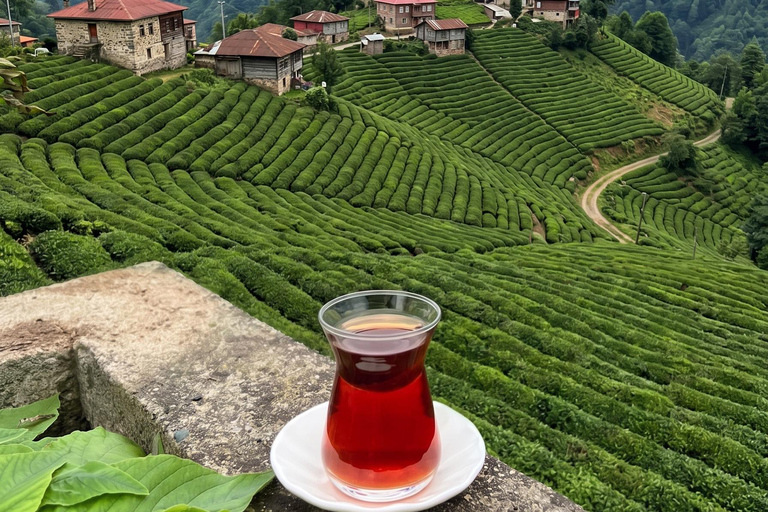 From Trabzon: Ayder Plateau Day Trip with Tea Factory