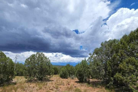 كريسوتيل أريزونا: رحلات على الطرق الوعرة إلى مناظر خلابة لوادي ريجال