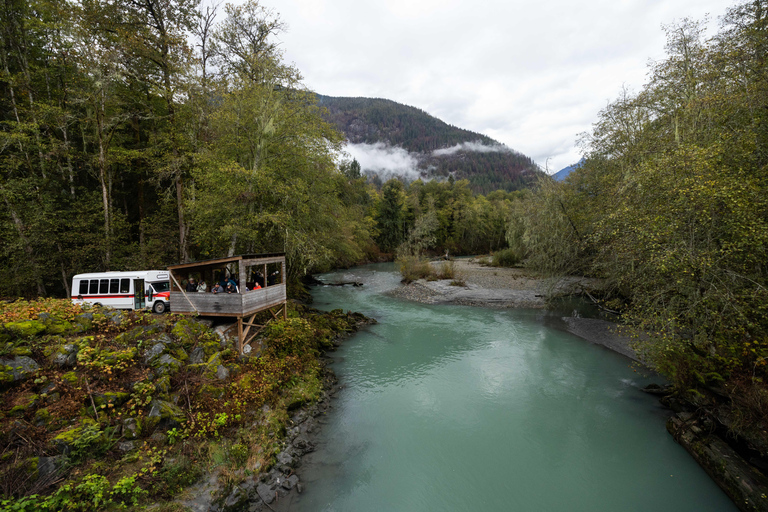 Campbell River: Toba Bears and Wilderness Grizzly Bear Tour