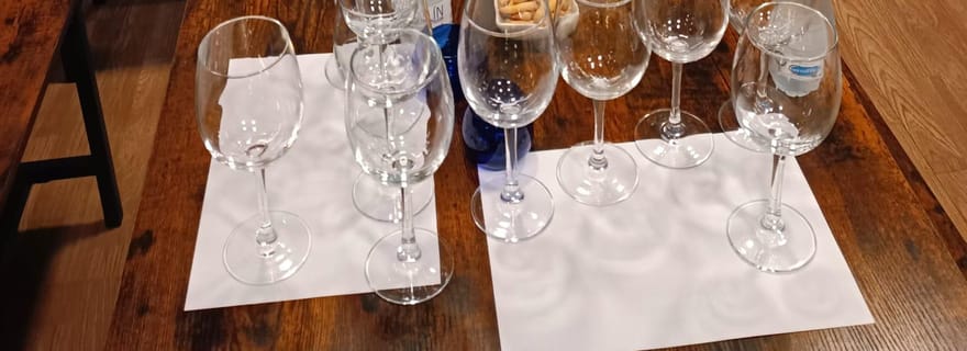 Tolède : dégustation de vin, d'huile d'olive vierge extra et de tapas