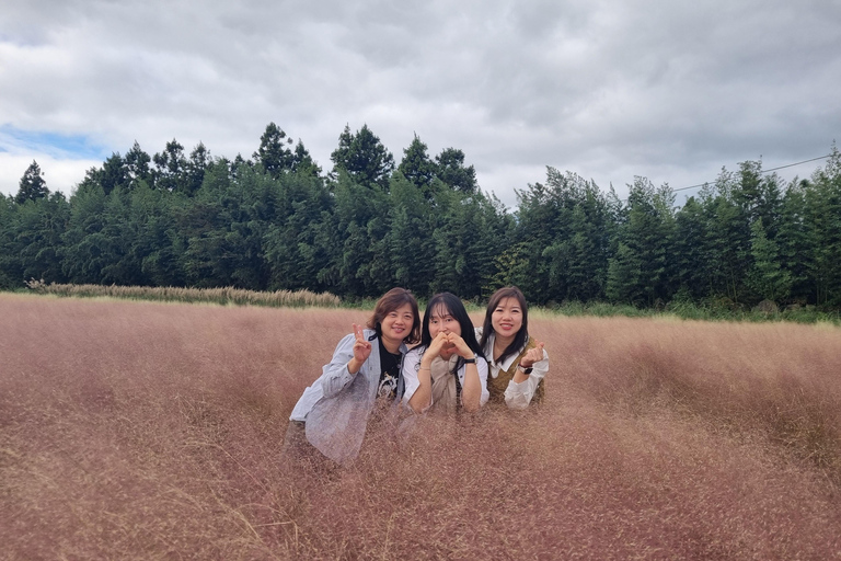 Jeju: Bespoke Sightseeing Tours with Licensed Tour Guide