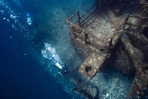 Sunshine Coast: Tauchgang im Schiffswrack der Ex-HMAS Brisbane