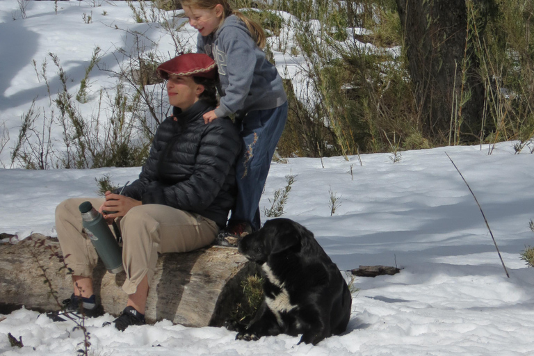 San Martín de los Andes: Private 4x4 Snow Forest Tour