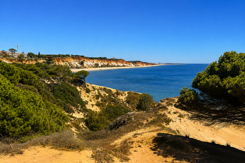 Albufeira: Hidden Beaches and Local Secrets Tuk Tuk Tour