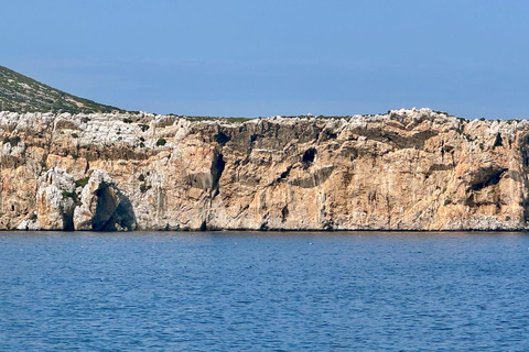 Prova il brivido delle immersioni in Marocco Fun Dives